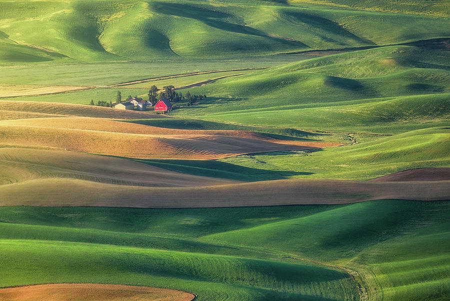 A Red Barn in the wheat field of the Palouse1 Photograph by Celia Zhen ...