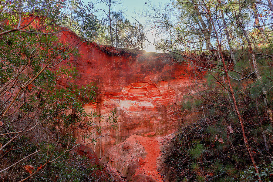 A Red Canyon Afternoon  Photograph by Ed Williams