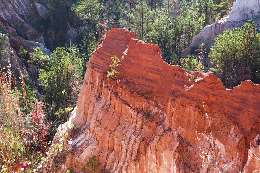 A Red Clay Ridge Photograph