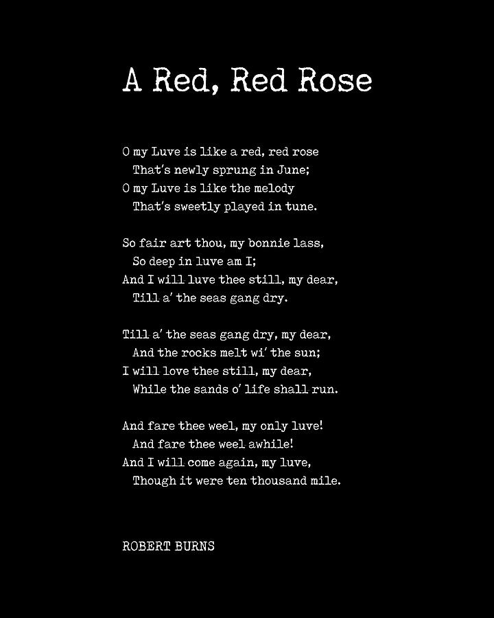 A Red, Red Rose - Robert Burns Poem - Literature - Typewriter Print 1 - Black Digital Art