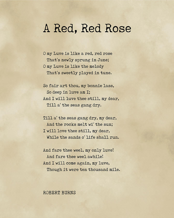 A Red, Red Rose - Robert Burns Poem - Literature - Typewriter Print 1 - Vintage Digital Art