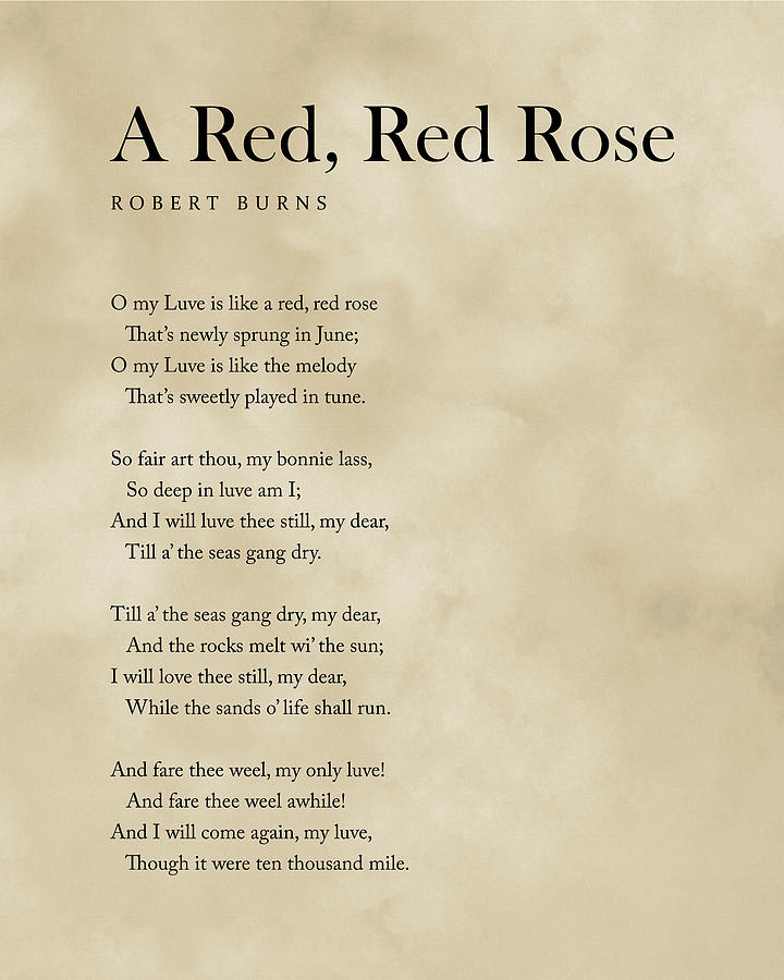 A Red, Red Rose - Robert Poem - Literature - Print 2 Vintage Digital Art by Studio Grafiikka - Pixels