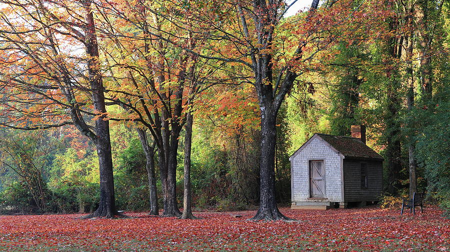 A Replica of  David Thoreau Cabin at Furman University in Fall Photograph by Carol Montoya