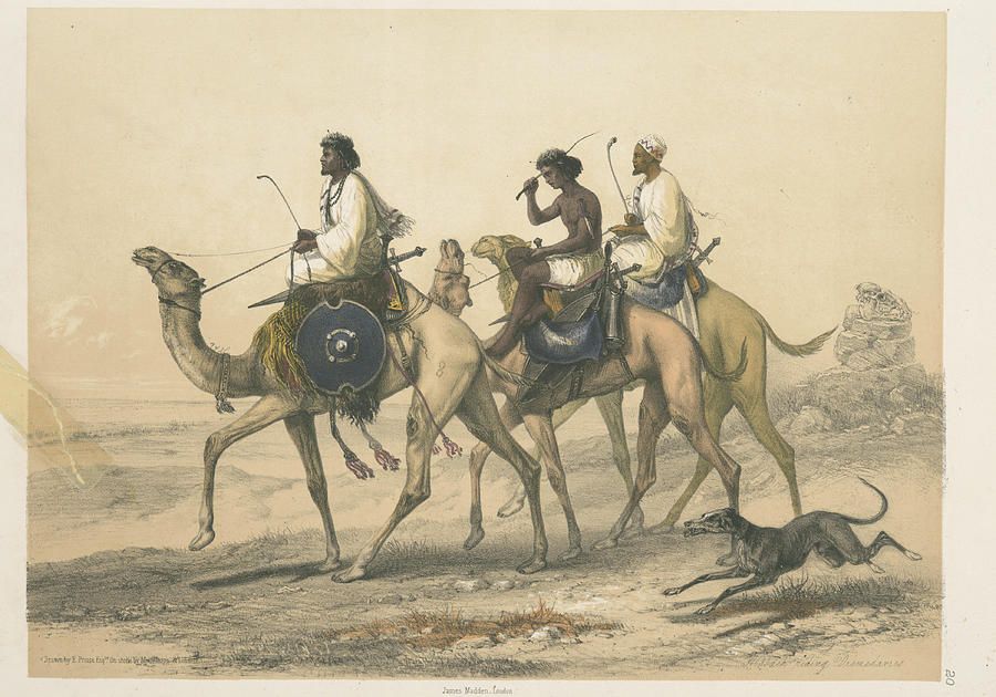 A Riding Dromedaries Painting by Artistic Rifki