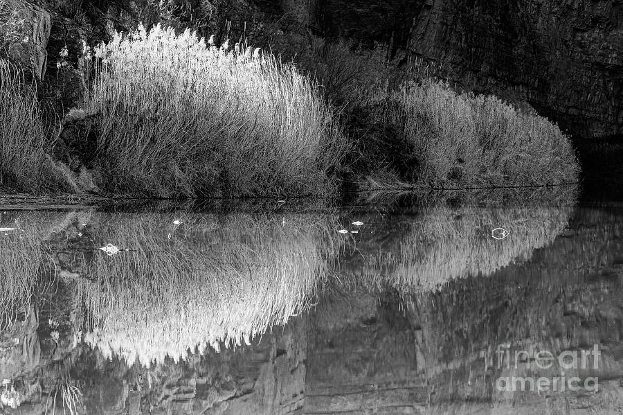 Big Bend National Park Photograph - A Rio Grande River Reflection 2 by Bob Phillips