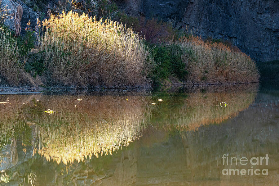 Big Bend National Park Photograph - A Rio Grande River Reflection  by Bob Phillips