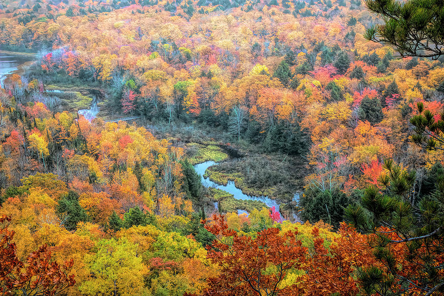 A River Runs Through Fall Colors  Photograph by Cheryl Strahl