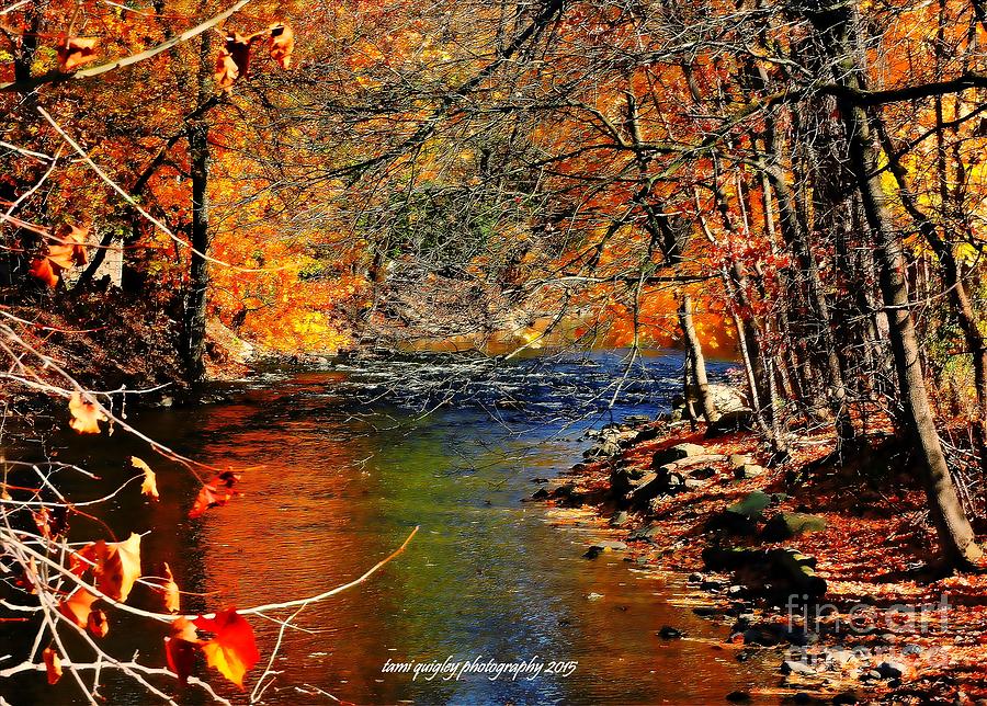 A River Runs Through It Photograph by Tami Quigley