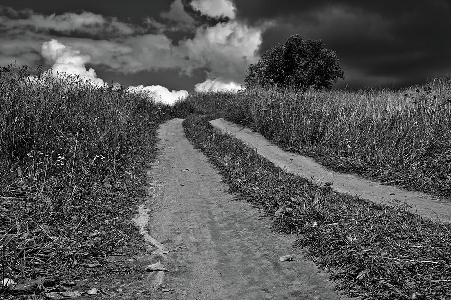 A road, black and white Photograph by Vlad Meytin - Fine Art America