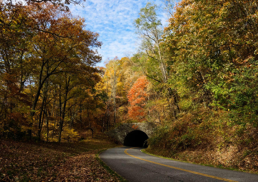 A roadway leading into a tunnel lined with trees in their autumn glory. Photograph by Photo by James Keith