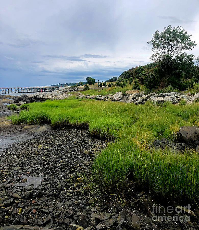 A Rocky New England Shore Photograph by Frances Ferland