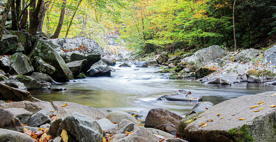 A Rocky Mountain Stream in the Great Smokey Mountains Photograph by Bob Decker