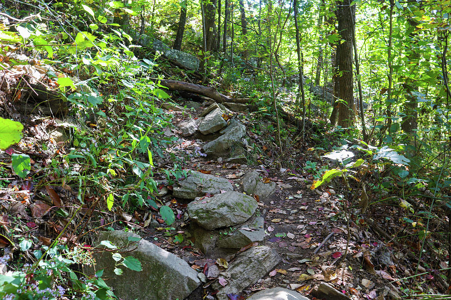 A Rocky Path Upwards Photograph by Ed Williams