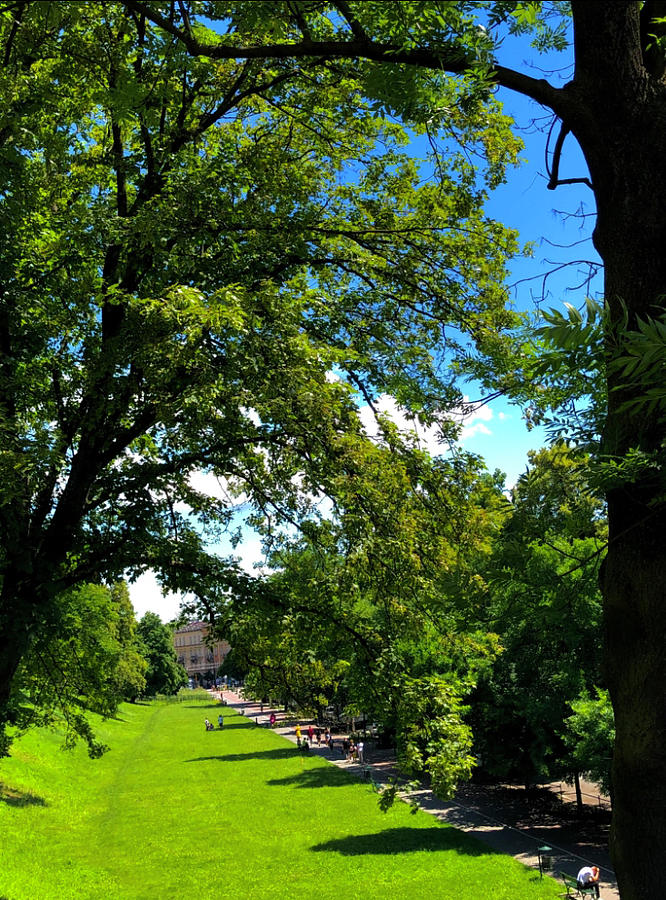 A Romantic Alley In A Green Garden Photograph by Iwona Kurowska-Walczyk