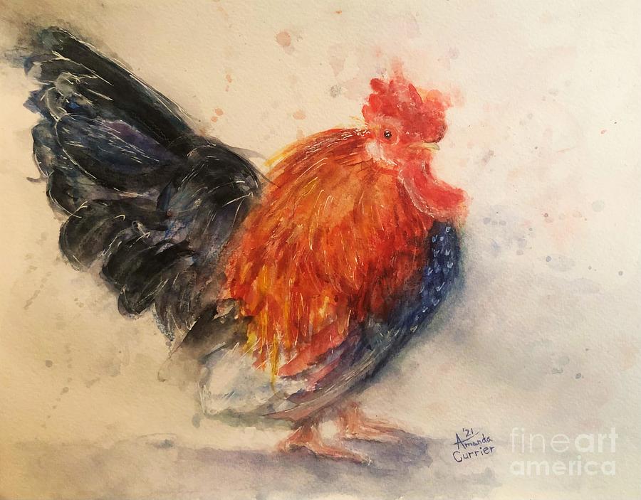 Rooster Painting - A Rooster by Amanda Currier