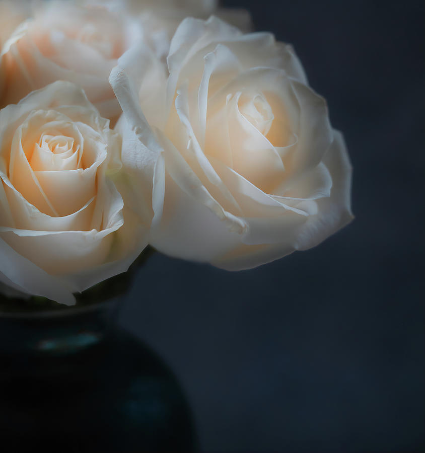 A Rose Bouquet Photograph by Sylvia Goldkranz