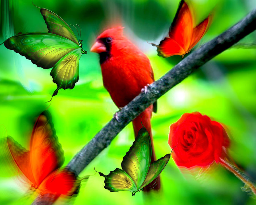 A Rose For Red Bird and Company Digital Art by Gayle Price Thomas