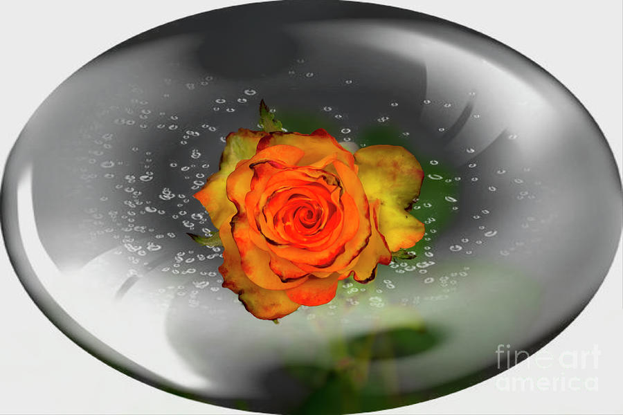 A Rose In A Bubble Photograph by Al Bourassa