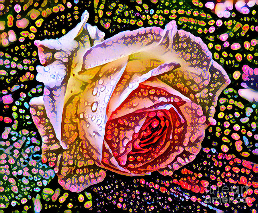 Abstract Photograph - A Rose in the Rain by Miriam Danar