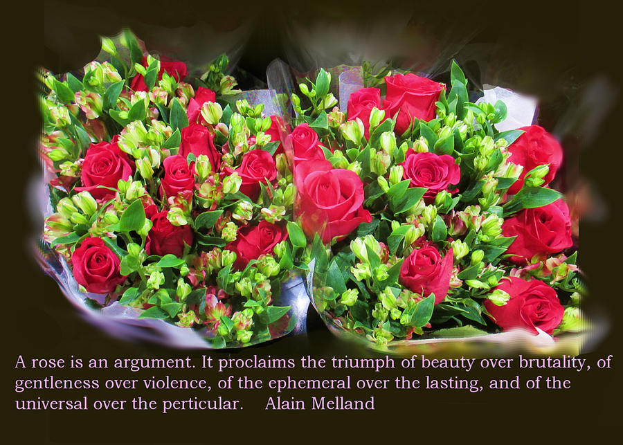 A Rose is An Argument Digital Art by David Zimmerman