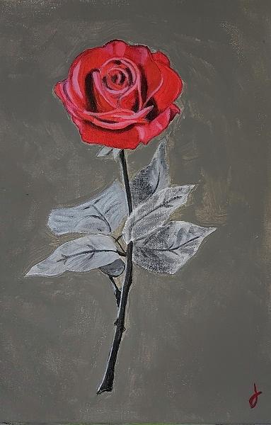 A Rose Painting by Jose Soto A Rose Painting by Jose Soto