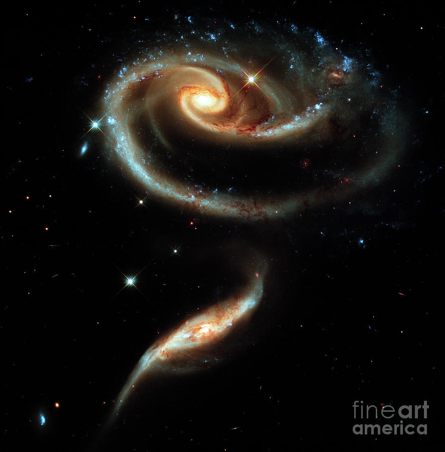 A Rose Made Of Galaxies Photograph by Doc Braham