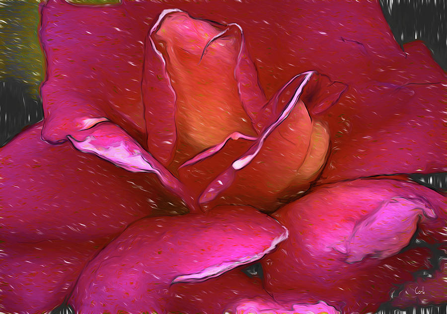 A Rose Of A Different Color Digital Art by Terry Cork