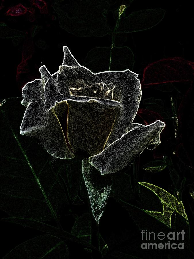 A Rose On Black Digital Art by Donna Brown