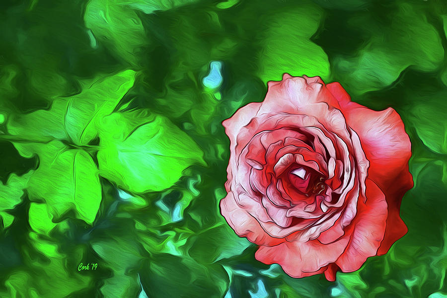 A Rose Within Digital Art by Terry Cork