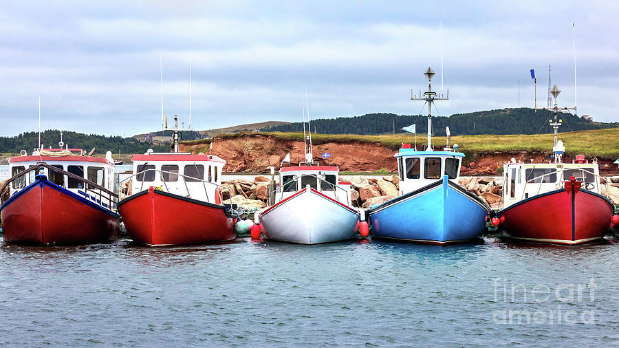 Boat Photograph - A row of colour fishing boats in the harbour of Havre Aubert, Magdalen Islands, Canada. by Jane Rix