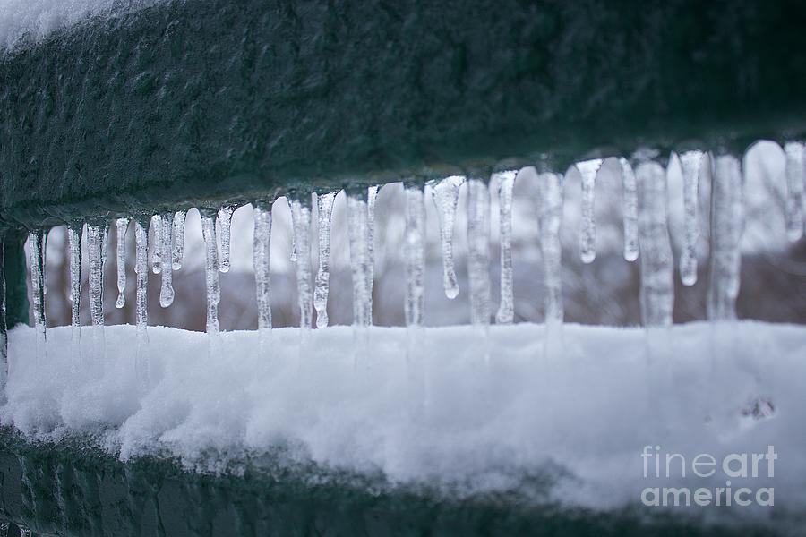 A row of icicles Photograph by Yvonne M Smith