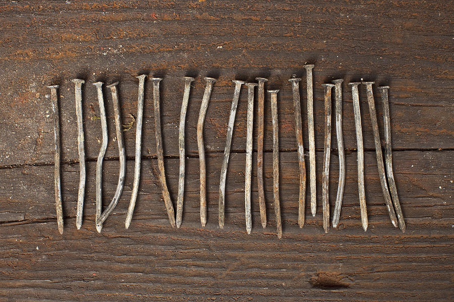 A row of old nails Photograph by Benne Ochs