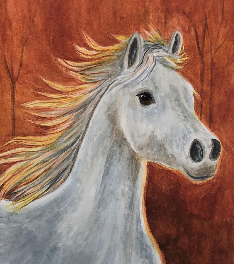 Arabian Horse Painting - A Run in the Sun by Judy Thompson