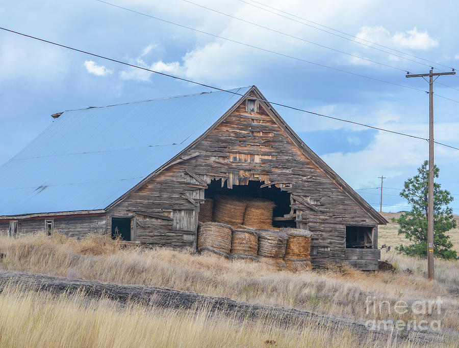 A Rustic Barn Full Of Rolled Hay Stored For The Livestock On A Farm In Eastern Washington Photograph