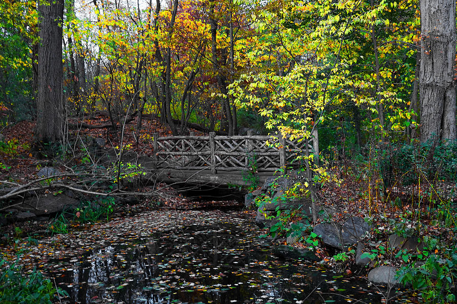  A Rustic Bridge in the Ramble - A Central Park Impression Photograph by Steve Ember