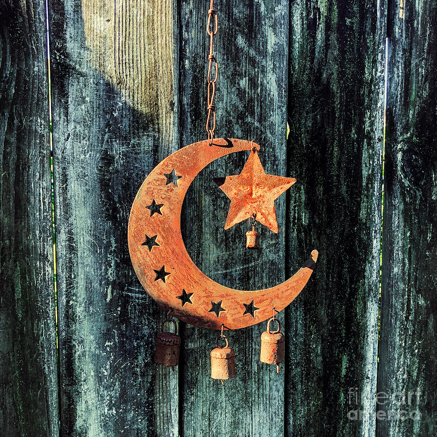 Rustic Moon A Rustic Moon Photograph by Eddy Mann - Fine Art America