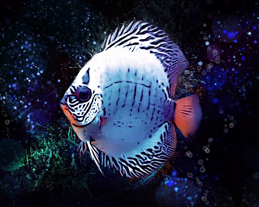 A Rusty Fin Discus Fish Digital Art