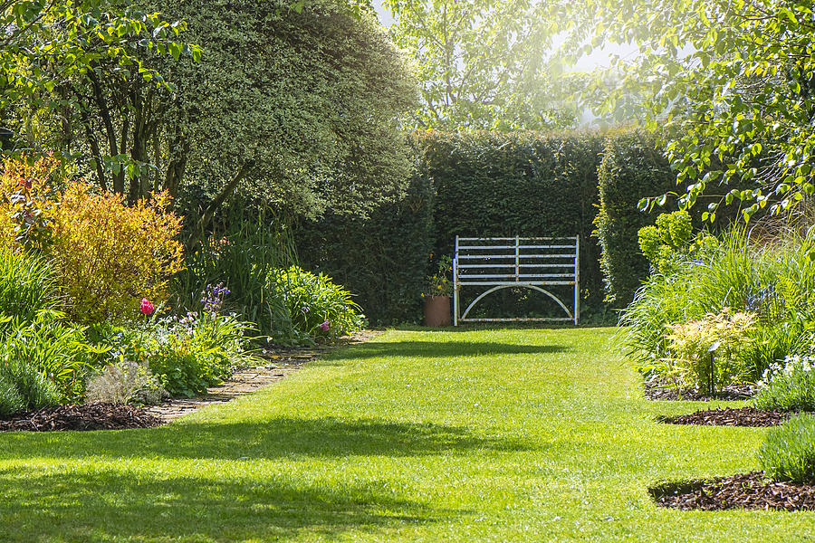 A rusty wrought iron white bench on the grass in a summer, sunny English Garden Photograph by Jacky Parker Photography