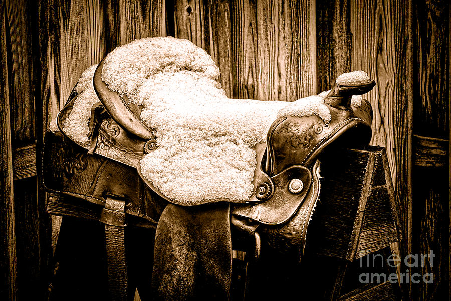 A Saddle in Winter - Sepia Photograph by Olivier Le Queinec