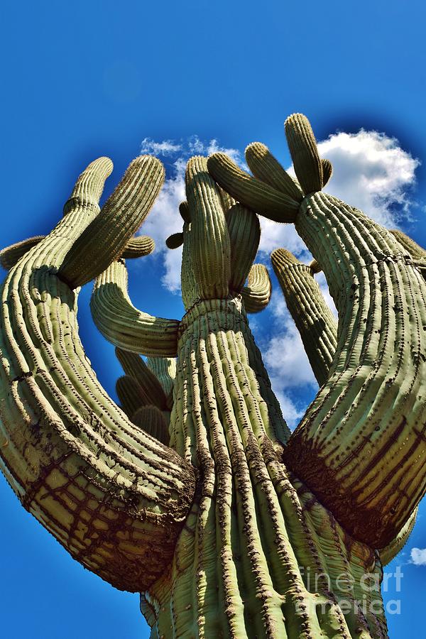 A Saguaro Cactus Salutes Me Photograph by Janet Marie