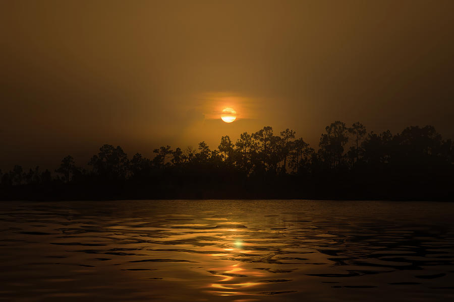 A Saharan Sunset in the Everglades Photograph by Mark Andrew Thomas