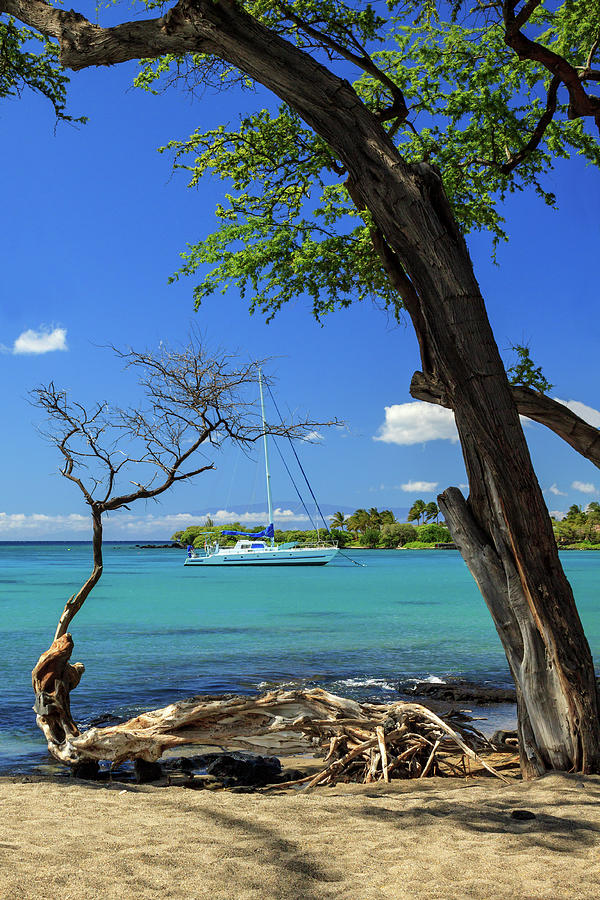 Beach Photograph - A Sailboat In Anaehoomalu Bay by James Eddy