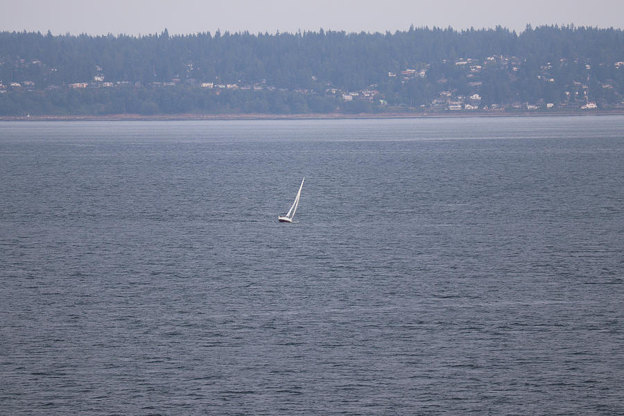 A Sailboat Leaning Right Photograph by Ed Williams