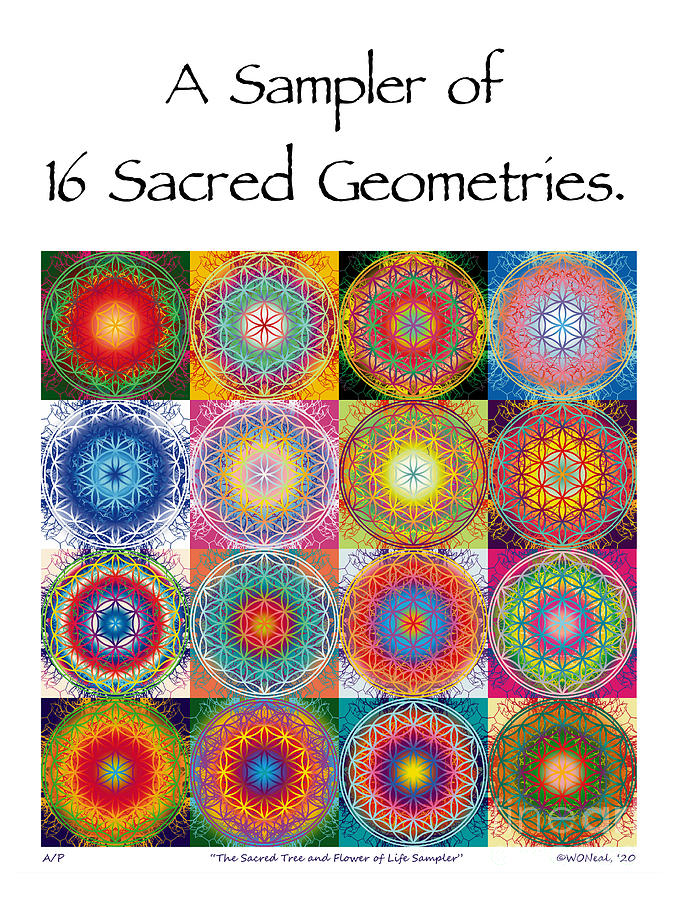 Flower Digital Art - A Sampler of 16 Sacred Geometries by Walter Neal Flower Digital Art - A Sampler of 16 Sacred Geometries by Walter Neal