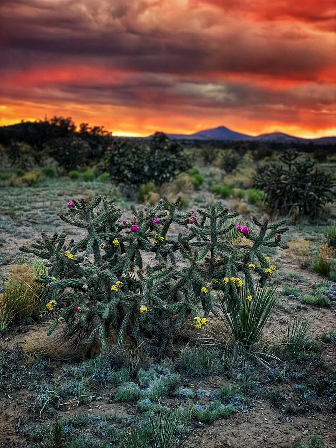 A Santa Fe Sunset Photograph By Jessica Rodarte Fine Art America