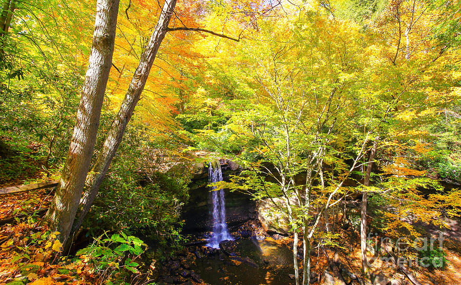 A Saturday in Autumn at Cucumber Falls  Photograph by SCB Captures