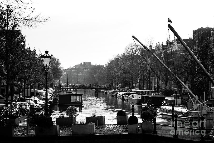 A Scene In Amsterdam Photograph