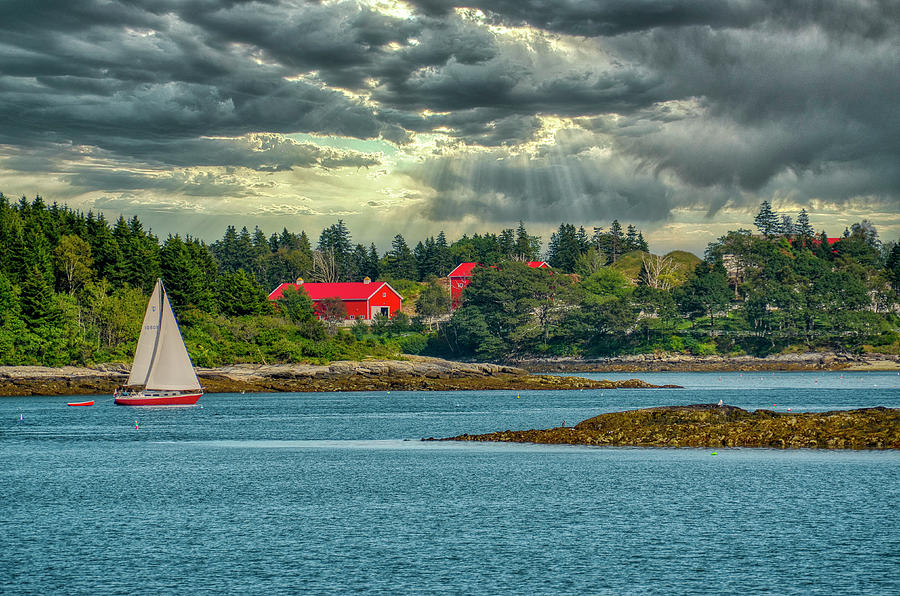 A Scenic View on Casco Bay Photograph by Penny Polakoff