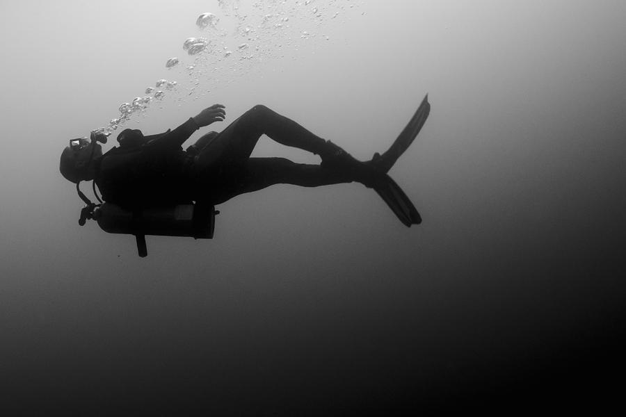 A scuba diver swims calmly underwater Photograph by Noel Hendrickson