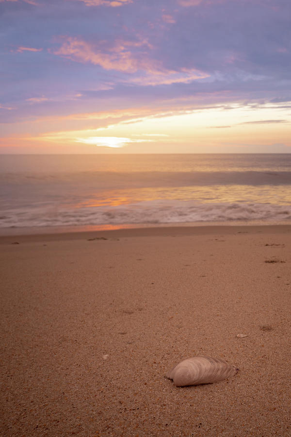 A Seashell and a Sunrise Photograph by Jason Fink